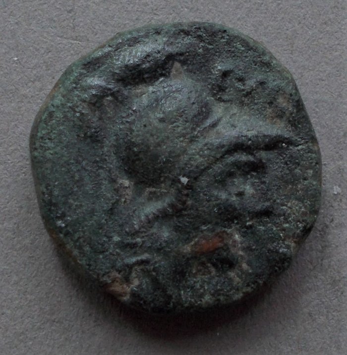 Post-Your-Coins-With-Horses